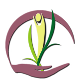 Heilpraxis Carmen Pfefferle Freiburg